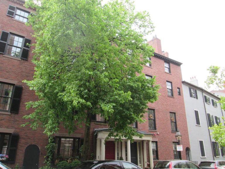 Photo of 34 Mount Vernon Street #1